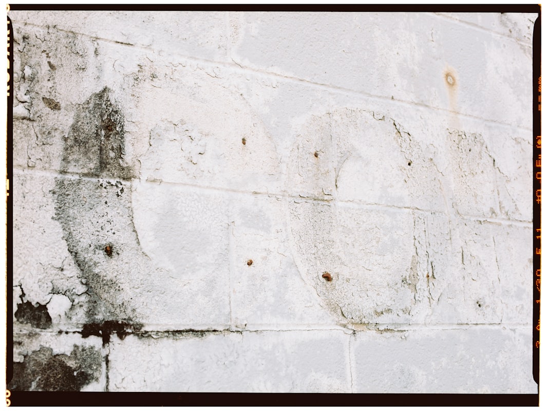 Mold Remediation service in The Hammocks, FL